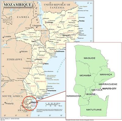 Priority quality traits for gendered sweetpotato breeding in Mozambique
